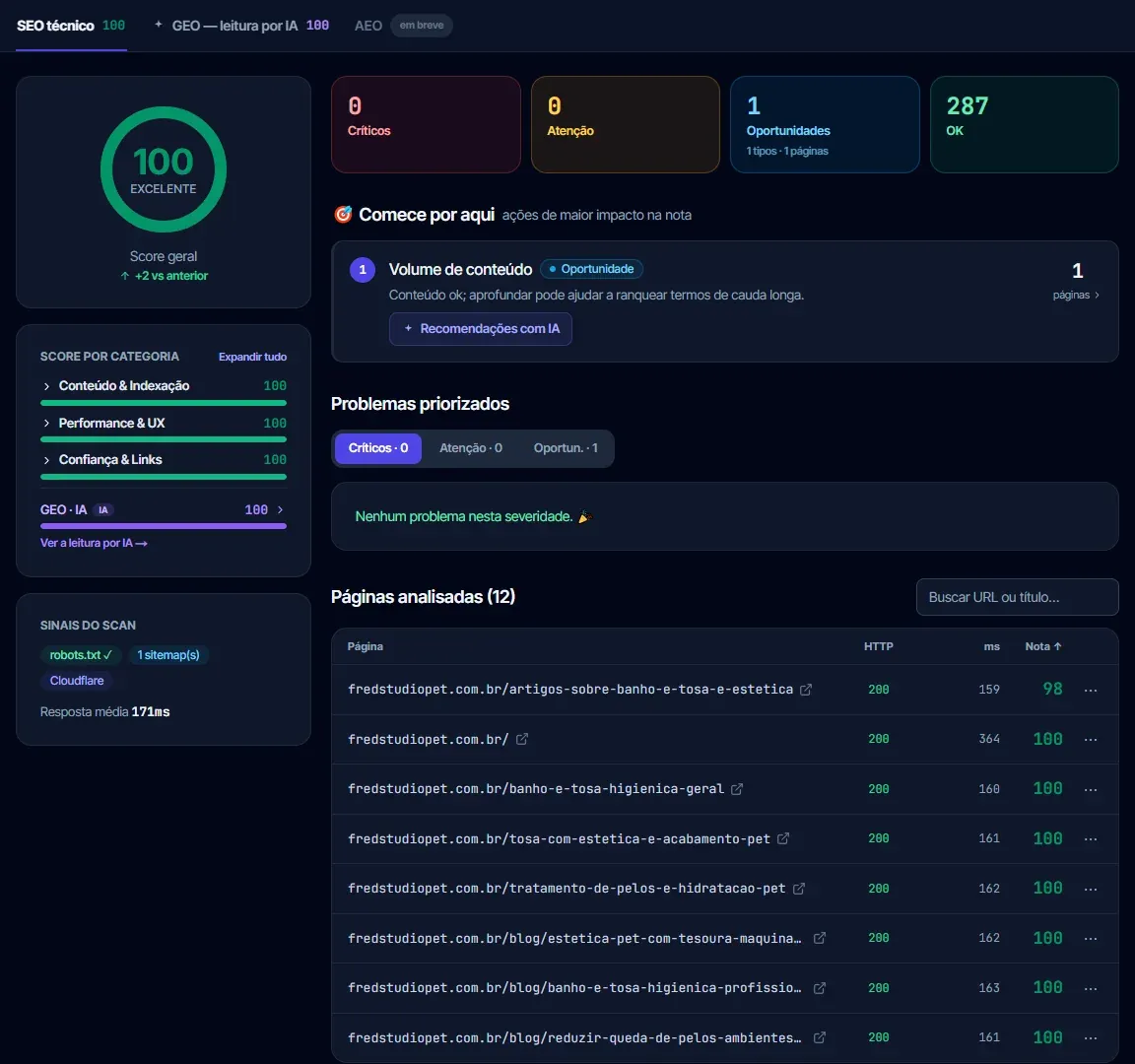 Painel de auditoria técnica do site da Fred Studio Pet com nota 100, nenhum problema crítico e 12 páginas analisadas